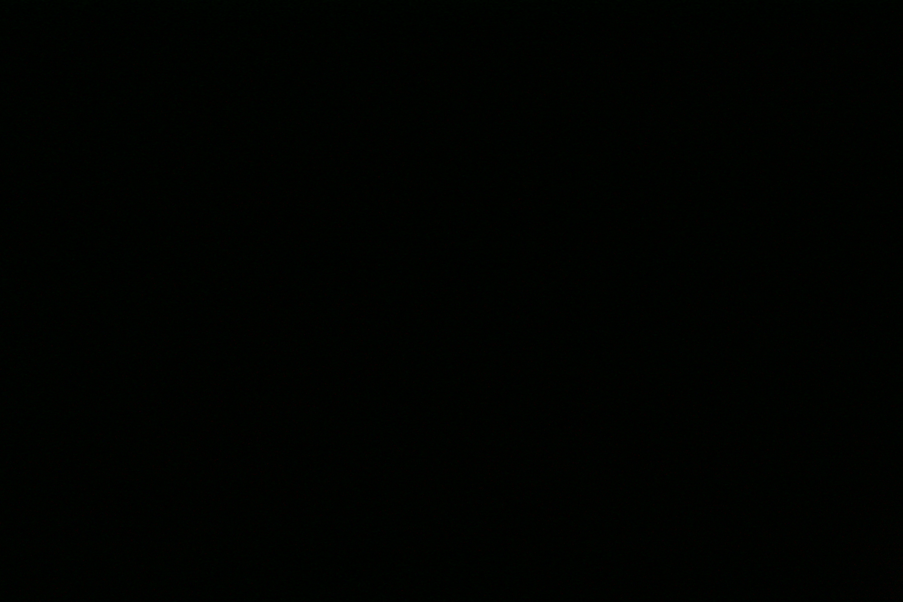 1600 iso, 1 second (nr off)