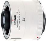 Canon EF 300mm f2.8L IS USM with 2x Teleconverter (600mm)