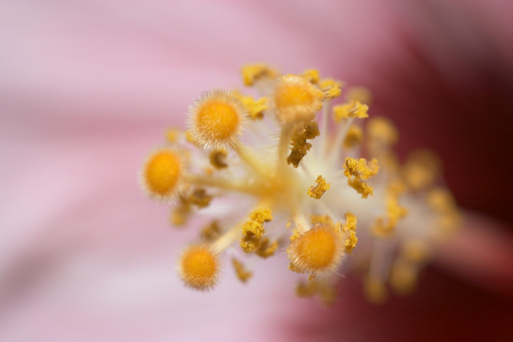 CRW_6865