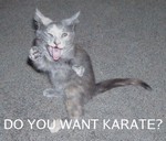 Do_You_Want_Karate.jpg