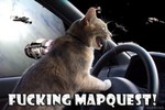 fuckingmapquest.jpg