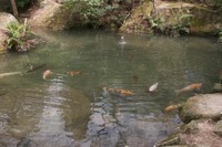 CRW_0529.jpg