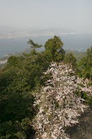CRW_0575.jpg