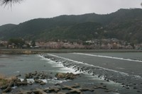 CRW_0798.jpg