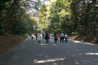 CRW_1233.jpg
