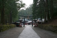 CRW_1707.jpg