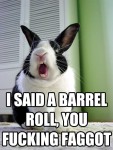 barrelroll